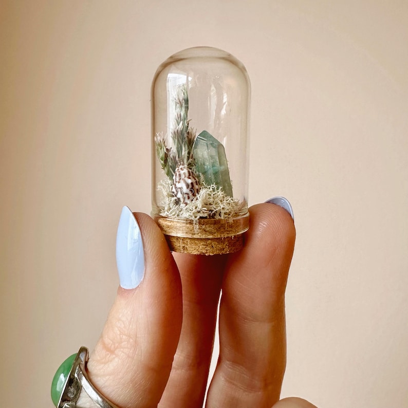 Glass Beach Terrarium Diorama with Dried Florals, Shells & Moss