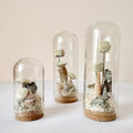 Miniature Crystal Beach Terrarium Glass Diorama with Dried Florals, Shells, and Moss
