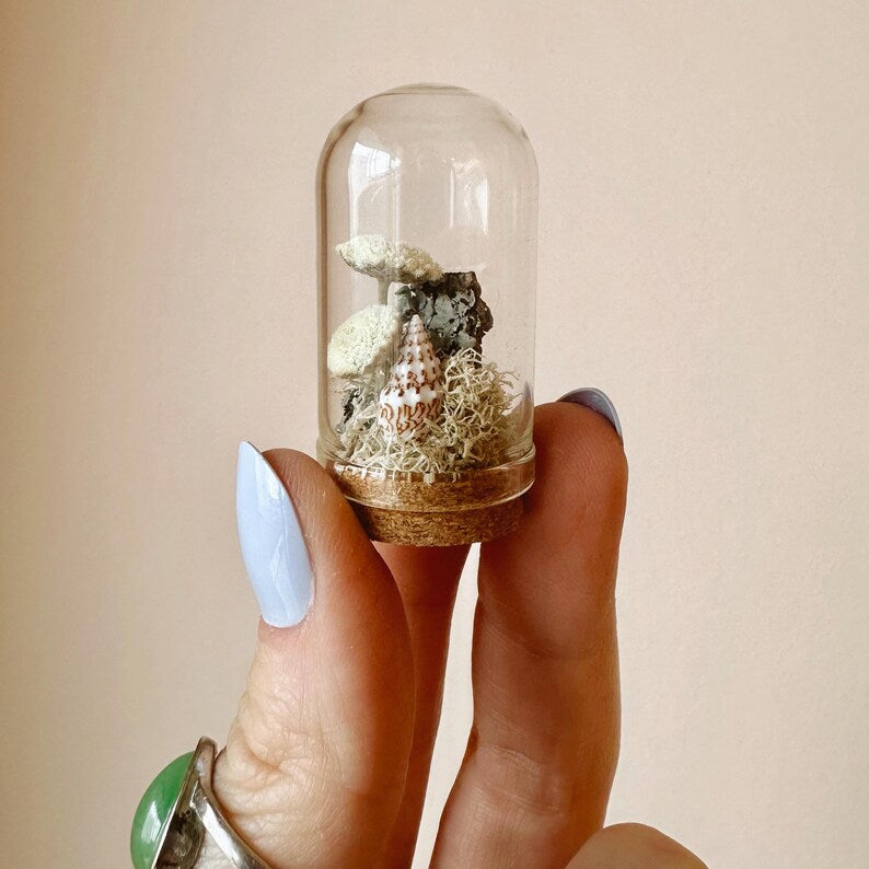 Miniature Crystal Beach Terrarium Glass Diorama with Dried Florals, Shells, and Moss