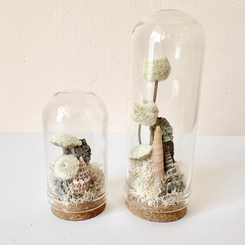 Miniature Crystal Beach Terrarium Glass Diorama with Dried Florals, Shells, and Moss