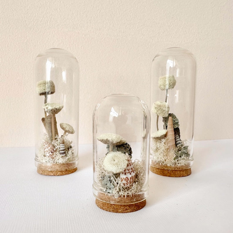 Miniature Crystal Beach Terrarium Glass Diorama with Dried Florals, Shells, and Moss