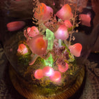 Pink Mushroom Lamp Glass Crystal Night Light Wooden Base Battery or USB Powered