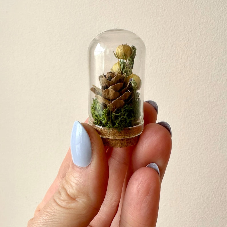 Glass Cloche Terrarium with Dried Florals, Moss & Pinecone