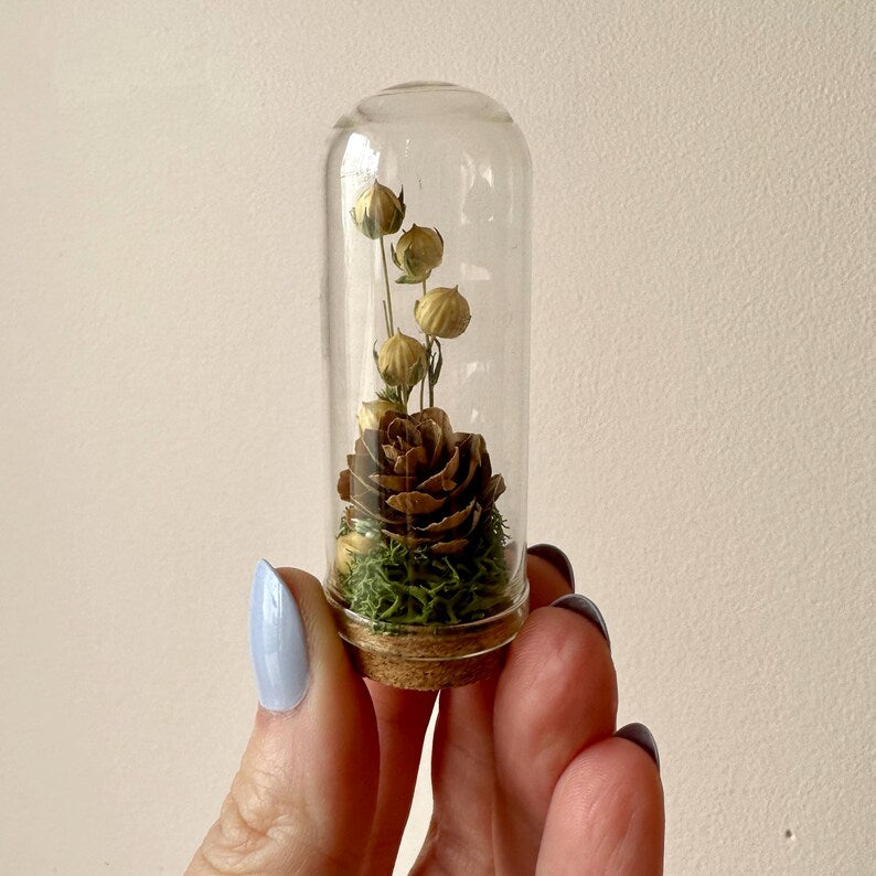 Glass Cloche Terrarium with Dried Florals, Moss & Pinecone
