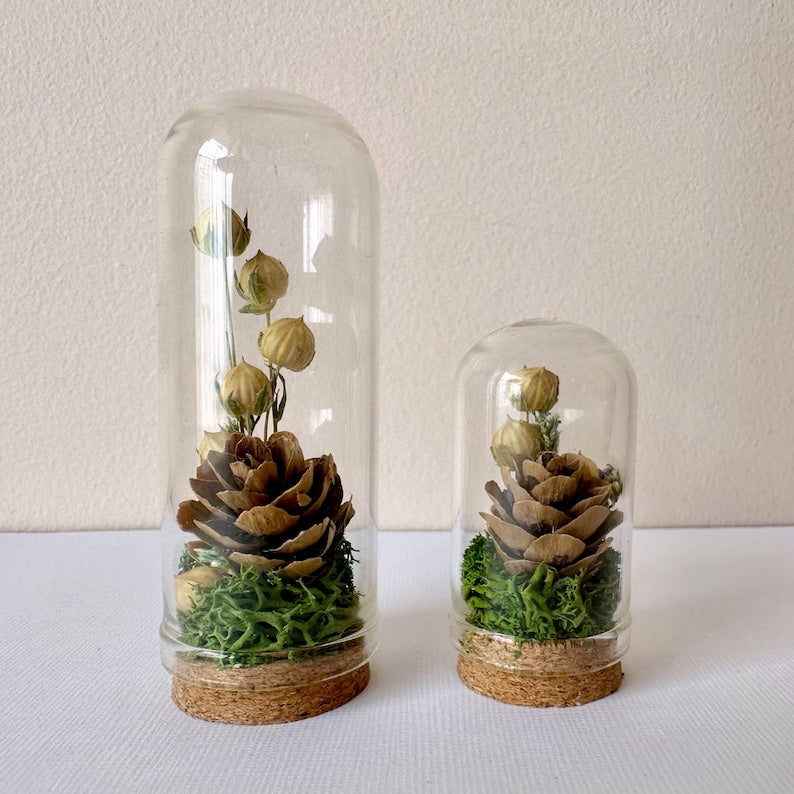 Glass Cloche Terrarium with Dried Florals, Moss & Pinecone