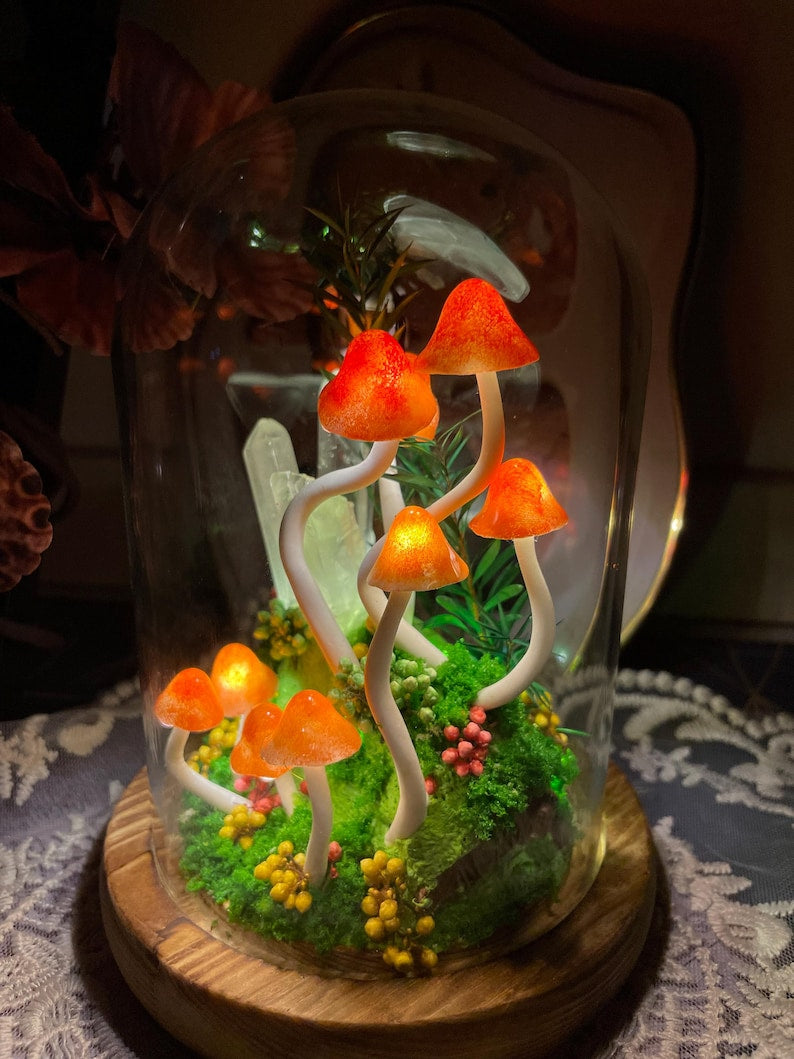 Orange Mushroom Lamp Glass Crystal Terrarium Night Light with Wooden Base Battery or USB Powered