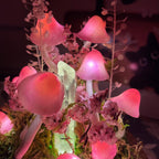 Pink Mushroom Lamp Glass Crystal Night Light Wooden Base Battery or USB Powered