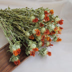 Natural Dried Flowers 16-18 Inch Bundle for Wedding Decor and Home Floral Arrangements