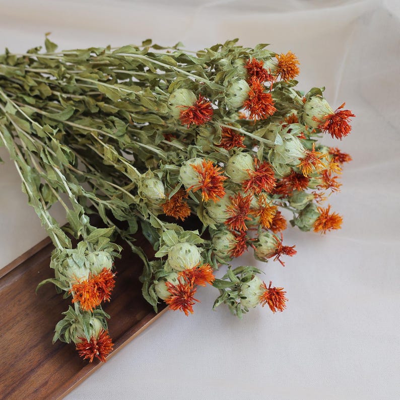 Natural Dried Flowers 16-18 Inch Bundle for Wedding Decor and Home Floral Arrangements