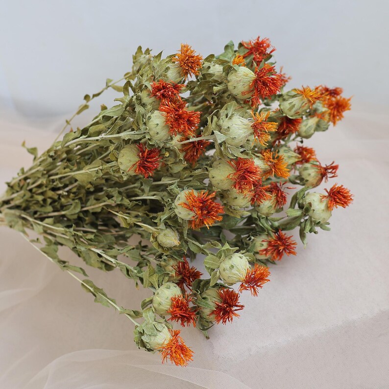 Natural Dried Flowers 16-18 Inch Bundle for Wedding Decor and Home Floral Arrangements