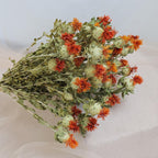 Natural Dried Flowers 16-18 Inch Bundle for Wedding Decor and Home Floral Arrangements