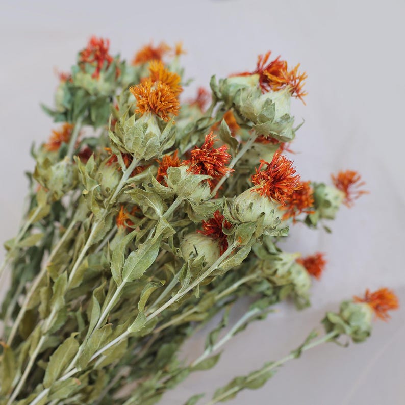 Natural Dried Flowers 16-18 Inch Bundle for Wedding Decor and Home Floral Arrangements