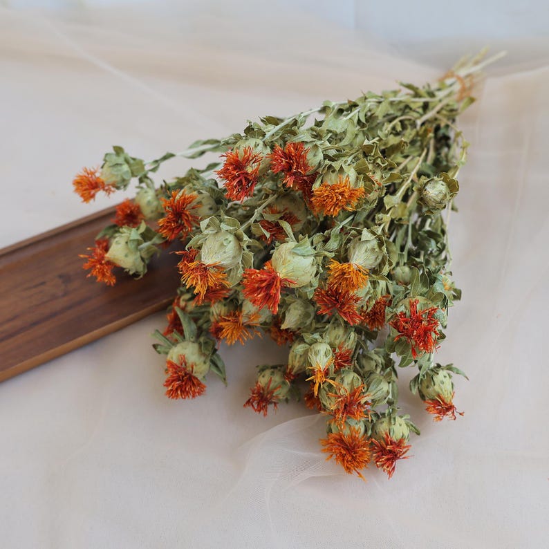 Natural Dried Flowers 16-18 Inch Bundle for Wedding Decor and Home Floral Arrangements