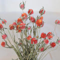 Orange Dried Gomphrena Flower Bunch, 16-18" Stems, DIY Crafts & Home Decor