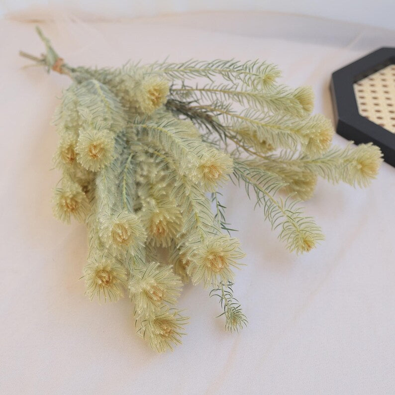 Sage Green Natural Dried Flowers Bundle 16-18 Inch for Home Floral Arrangements