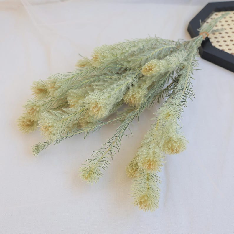 Sage Green Natural Dried Flowers Bundle 16-18 Inch for Home Floral Arrangements