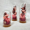 Dried Floral Glass Terrarium with Cork, Real Moss and Lichen, 1.75 in or 2.75 in Tall, No Watering Needed