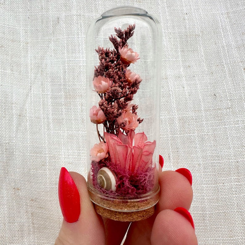 Dried Floral Glass Terrarium with Cork, Real Moss and Lichen, 1.75 in or 2.75 in Tall, No Watering Needed