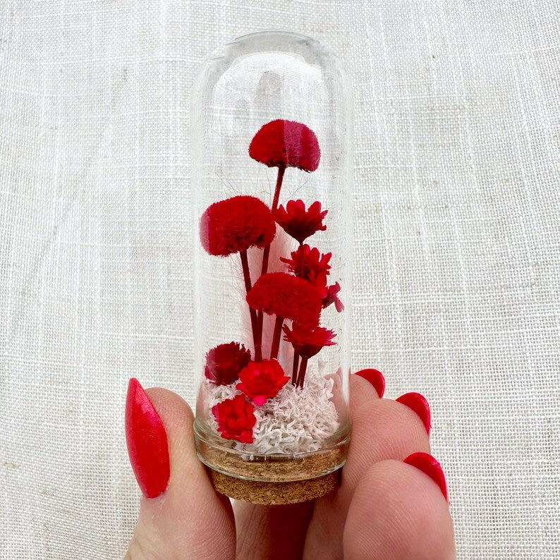 Dried Floral Glass Terrarium with Cork, Real Moss and Lichen, 1.75 in or 2.75 in Tall, No Watering Needed