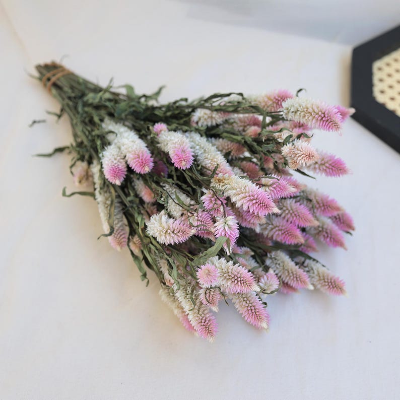 Dried Celosia Flowers Flamingo Feather Bouquet Decoration 45 cm