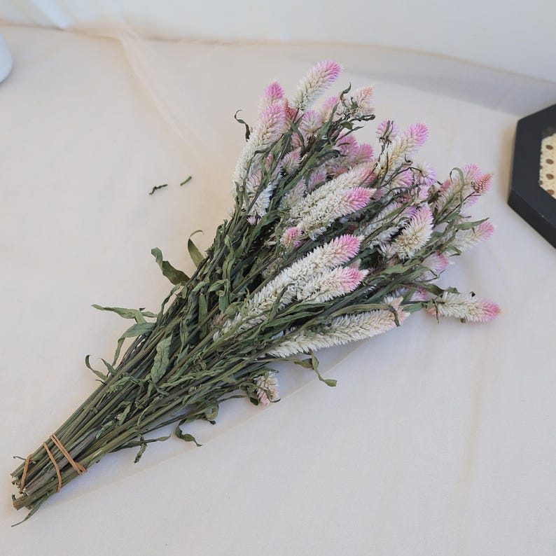 Dried Celosia Flowers Flamingo Feather Bouquet Decoration 45 cm