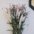 Dried Celosia Flowers Flamingo Feather Bouquet Decoration 45 cm