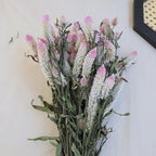 Dried Celosia Flowers Flamingo Feather Bouquet Decoration 45 cm