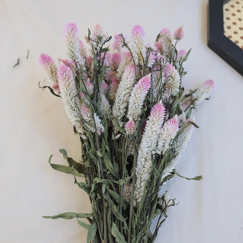 Dried Celosia Flowers Flamingo Feather Bouquet Decoration 45 cm