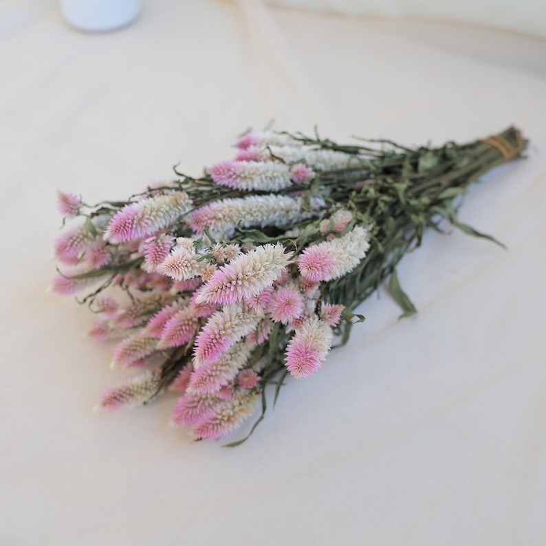 Dried Celosia Flowers Flamingo Feather Bouquet Decoration 45 cm