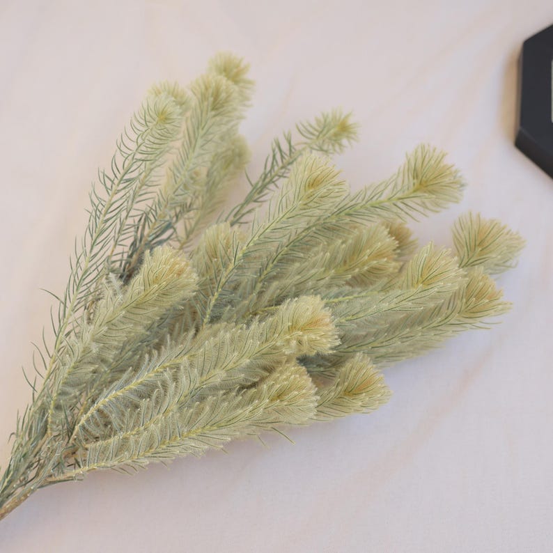 Sage Green Natural Dried Flowers Bundle 16-18 Inch for Home Floral Arrangements