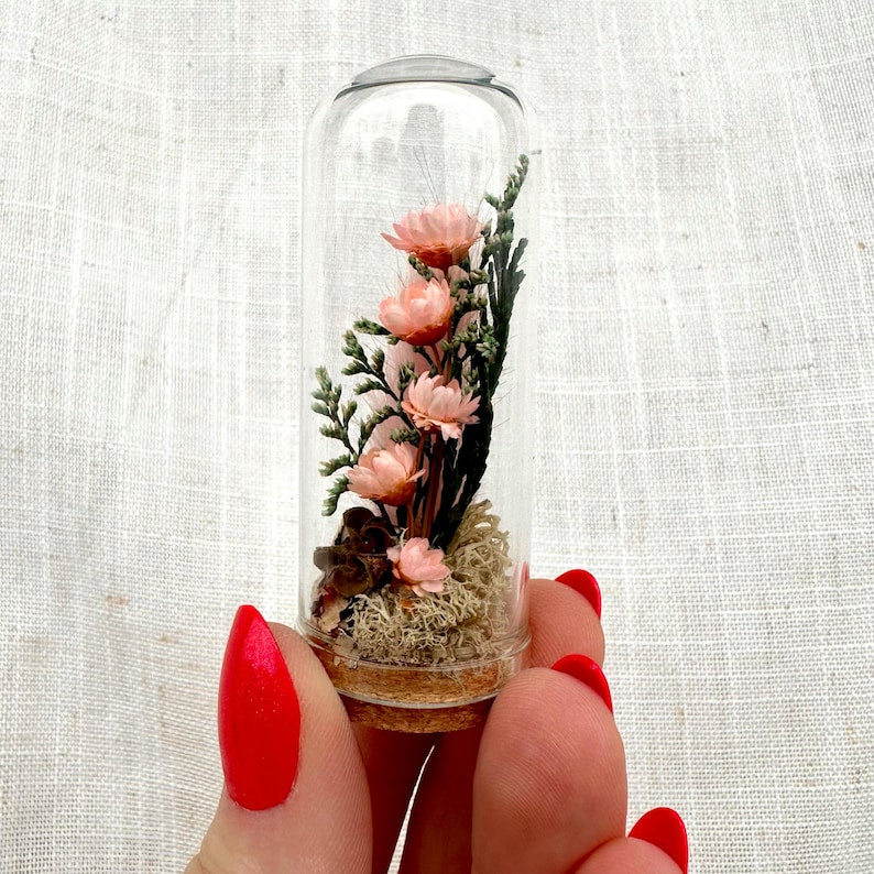 Dried Floral Glass Terrarium with Cork, Real Moss and Lichen, 1.75 in or 2.75 in Tall, No Watering Needed
