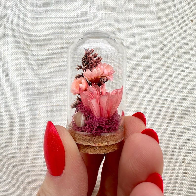 Dried Floral Glass Terrarium with Cork, Real Moss and Lichen, 1.75 in or 2.75 in Tall, No Watering Needed