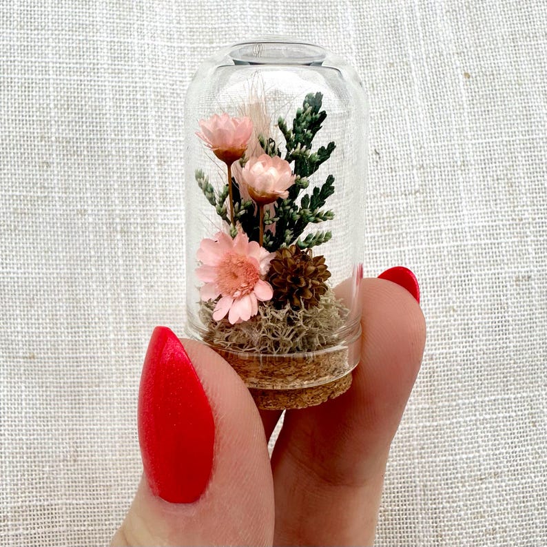 Dried Floral Glass Terrarium with Cork, Real Moss and Lichen, 1.75 in or 2.75 in Tall, No Watering Needed
