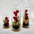 Mini Glass Terrarium with Dried Florals and Moss, Gothic Curio Jar, 1.75" and 2.75" Sizes