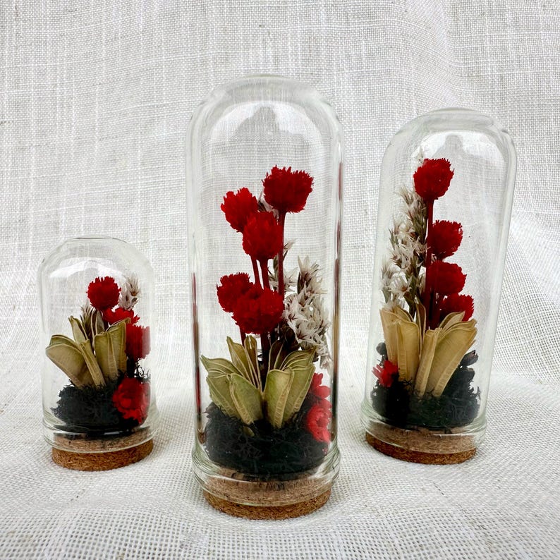 Mini Glass Terrarium with Dried Florals and Moss, Gothic Curio Jar, 1.75" and 2.75" Sizes