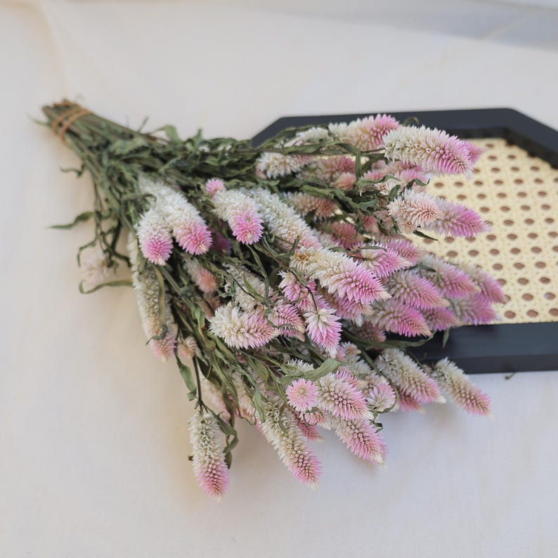 Dried Celosia Flowers Flamingo Feather Bouquet Decoration 45 cm