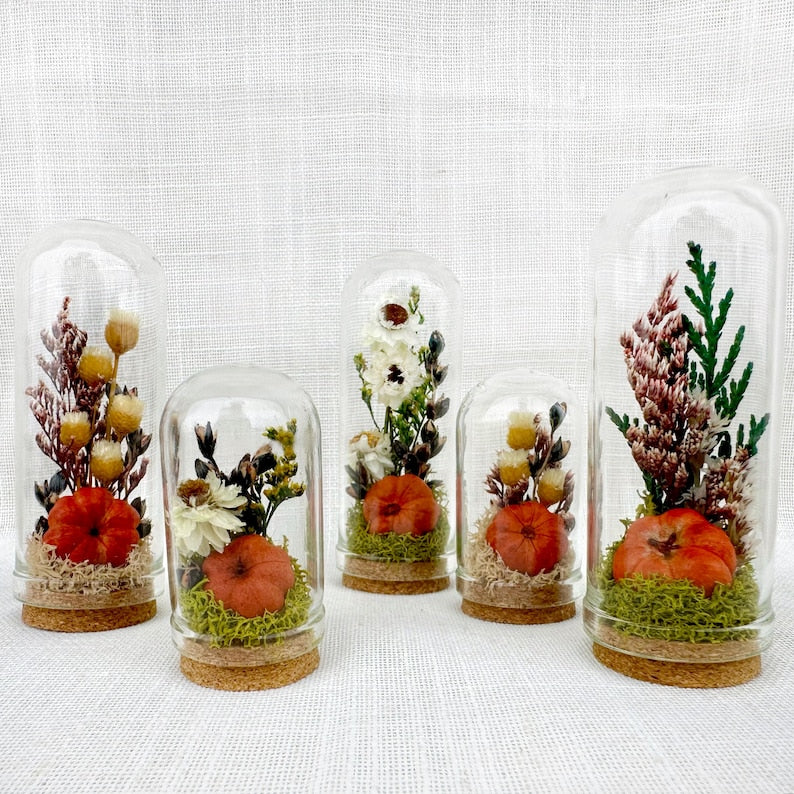 Dried Floral Glass Cloche Terrarium with Cork Base, Pumpkin Theme, 1.75" or 2.75" Tall