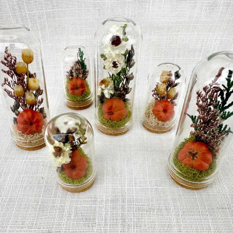 Dried Floral Glass Cloche Terrarium with Cork Base, Pumpkin Theme, 1.75" or 2.75" Tall
