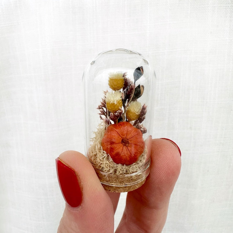 Dried Floral Glass Cloche Terrarium with Cork Base, Pumpkin Theme, 1.75" or 2.75" Tall
