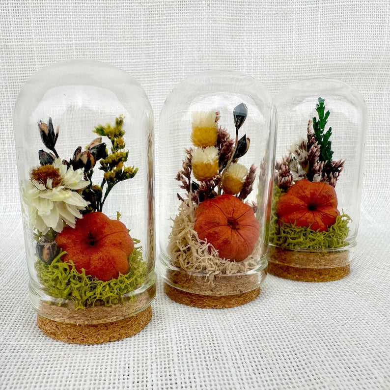 Dried Floral Glass Cloche Terrarium with Cork Base, Pumpkin Theme, 1.75" or 2.75" Tall