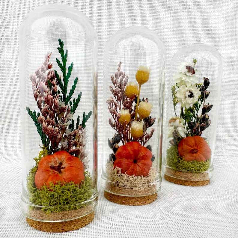 Dried Floral Glass Cloche Terrarium with Cork Base, Pumpkin Theme, 1.75" or 2.75" Tall
