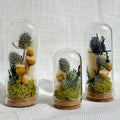 Mini Blue Glass Cloche Terrarium with Real Dried Flowers and Moss, 1.75" & 2.75"