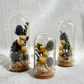 Blue Glass Cloche Terrarium with Real Moss and White Dried Flowers, 1.75" and 2.75" Heights