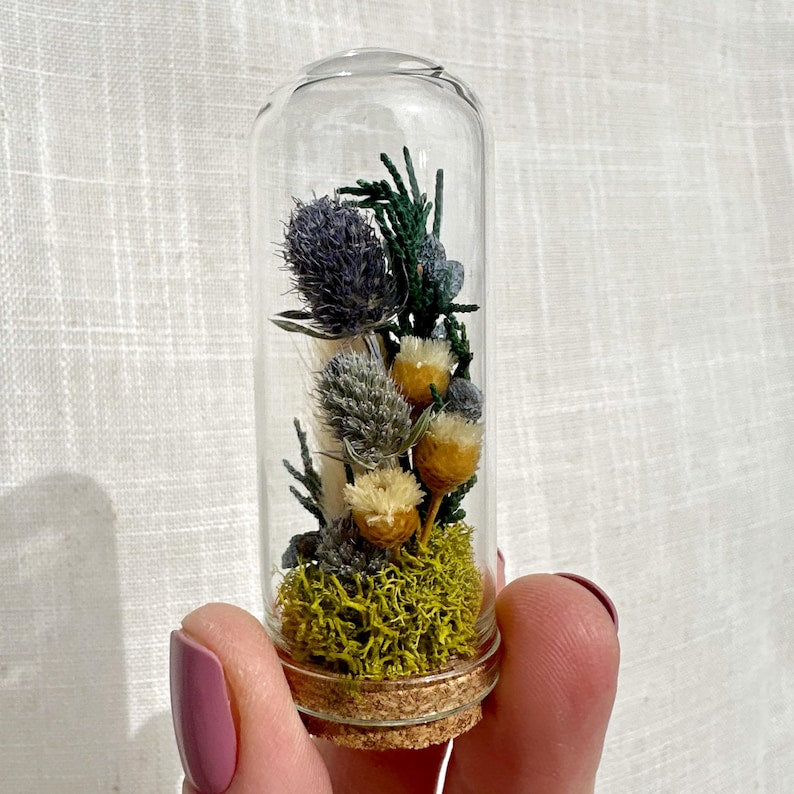 Mini Blue Glass Cloche Terrarium with Real Dried Flowers and Moss, 1.75" & 2.75"