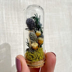 Mini Blue Glass Cloche Terrarium with Real Dried Flowers and Moss, 1.75" & 2.75"