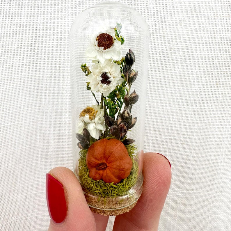 Dried Floral Glass Cloche Terrarium with Cork Base, Pumpkin Theme, 1.75" or 2.75" Tall