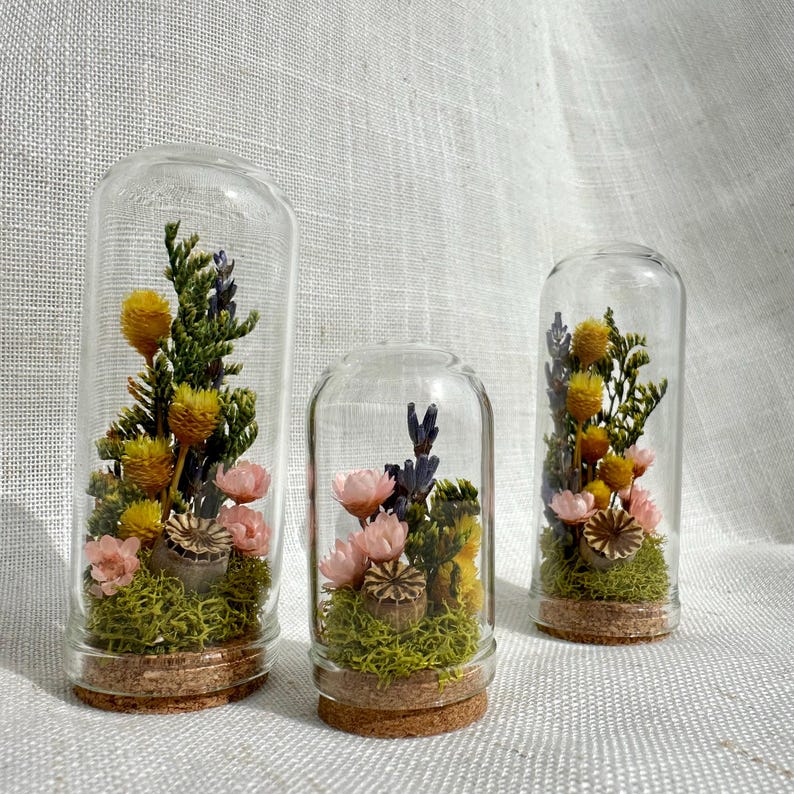 Blue Glass Cloche Terrarium with Real Moss and White Dried Flowers, 1.75" and 2.75" Heights
