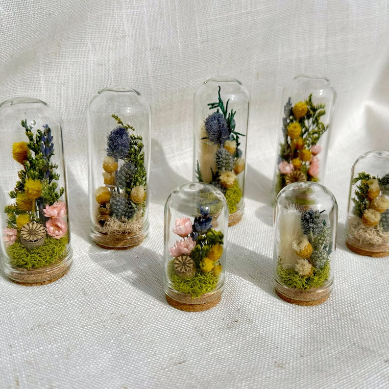 Blue Glass Cloche Terrarium with Real Moss and White Dried Flowers, 1.75" and 2.75" Heights