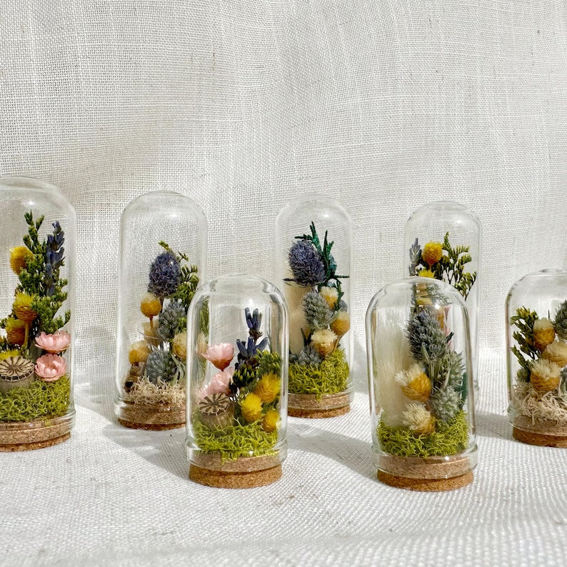 Blue Glass Cloche Terrarium with Real Moss and White Dried Flowers, 1.75" and 2.75" Heights