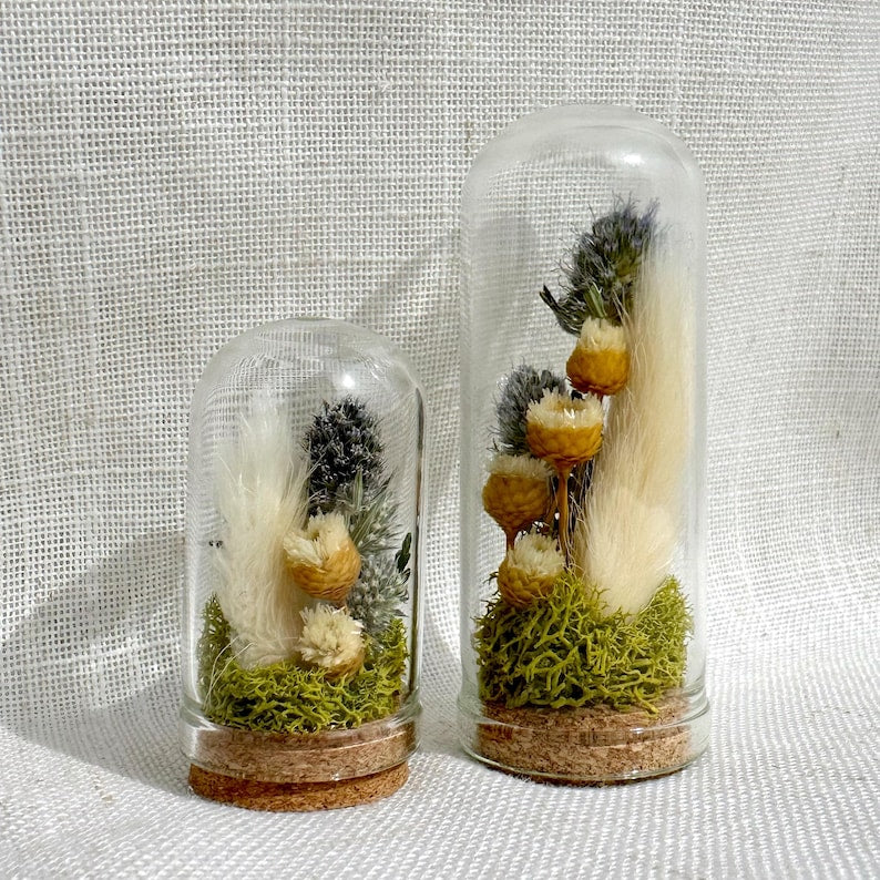 Mini Blue Glass Cloche Terrarium with Real Dried Flowers and Moss, 1.75" & 2.75"